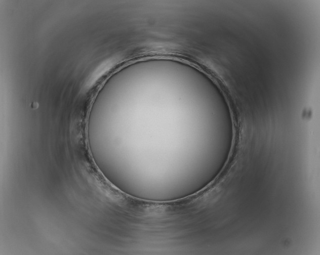 X0000112201211200908141426