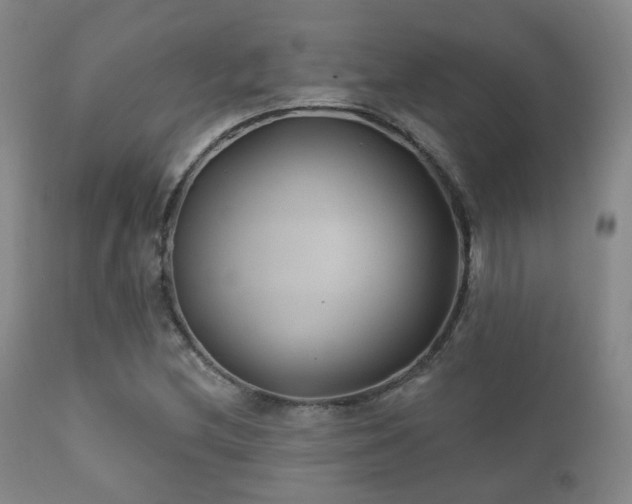 X0000112201212200908141426