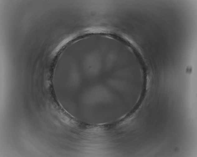X0000112201213200908141426