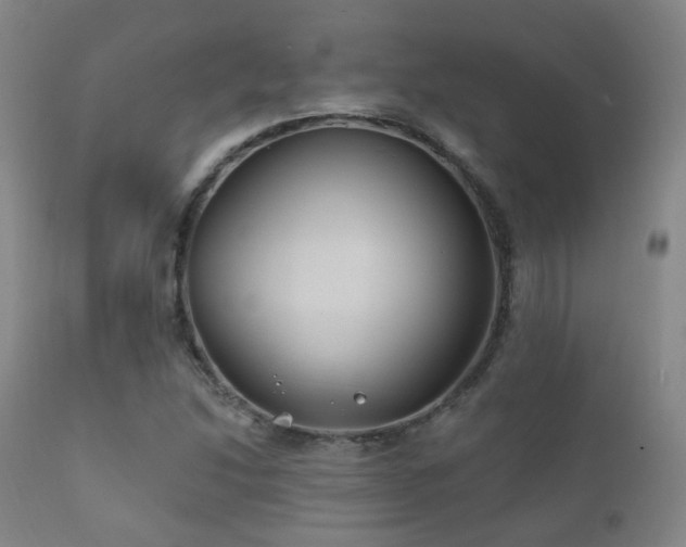 X0000112201214200908141426