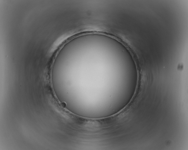 X0000112201215200908141426