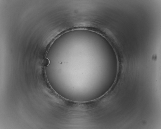 X0000112201217200908141426
