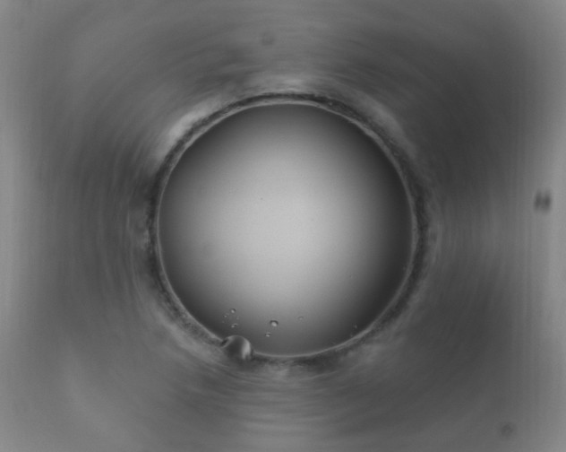 X0000112201218200908141426