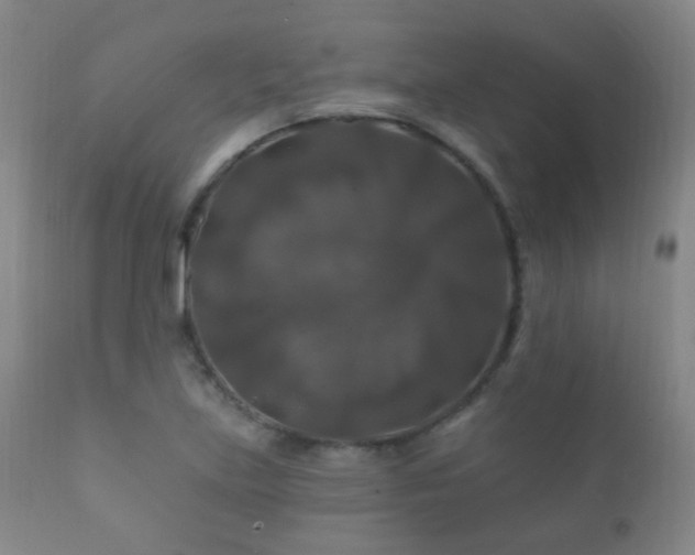 X0000112201219200908141426
