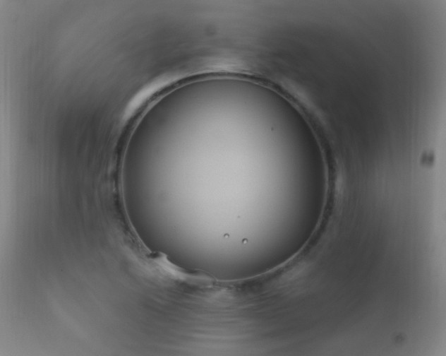 X0000112201222200908141426