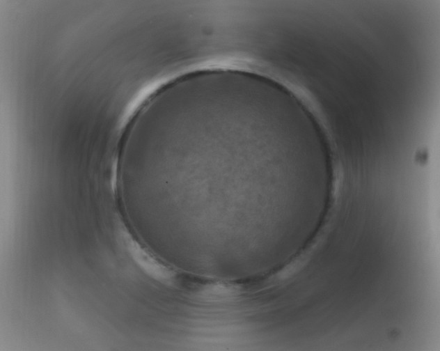X0000112201224200908141426