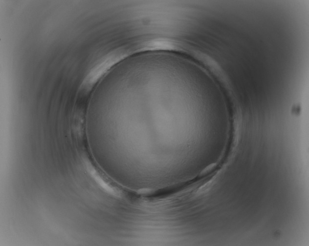 X0000112201225200908141426