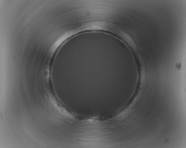 X0000112201226200908141426