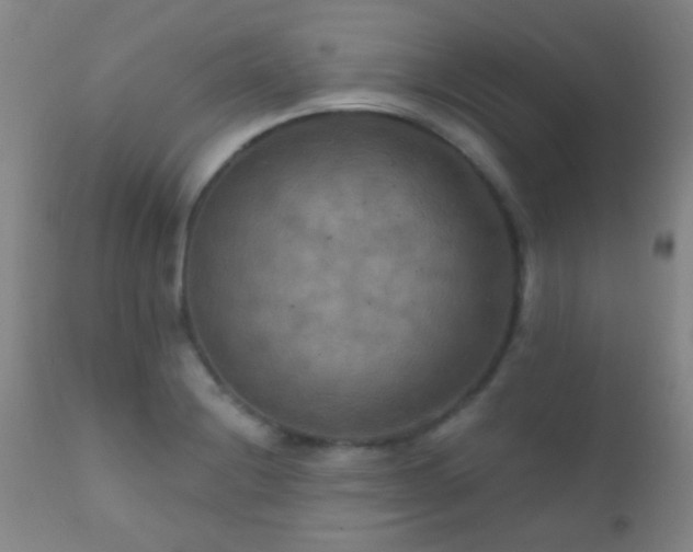X0000112201228200908141426