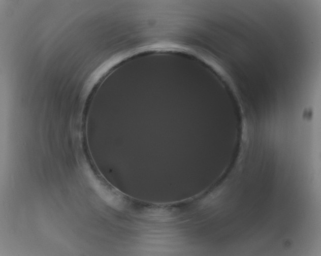 X0000112201229200908141426