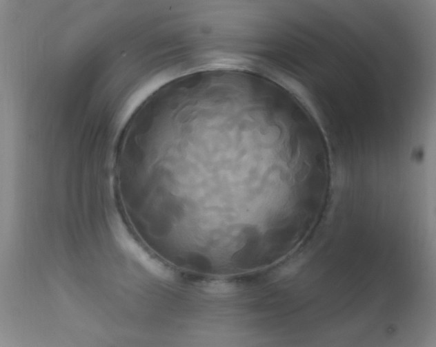 X0000112201235200908141426
