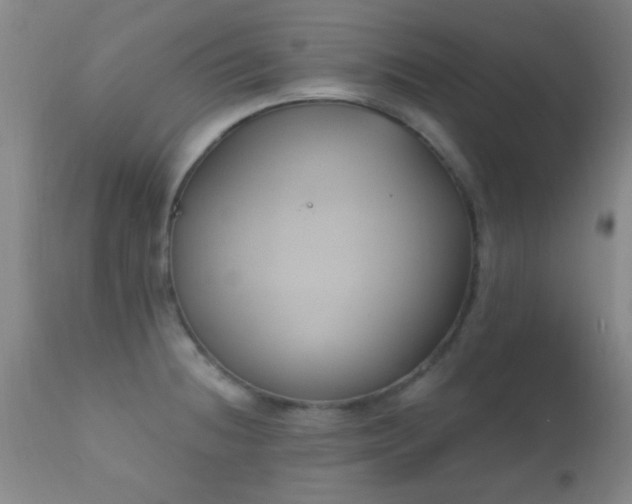 X0000112201236200908141426