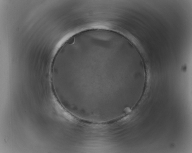 X0000112201240200908141426