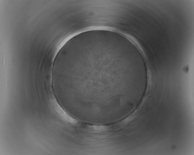 X0000112201244200908141426