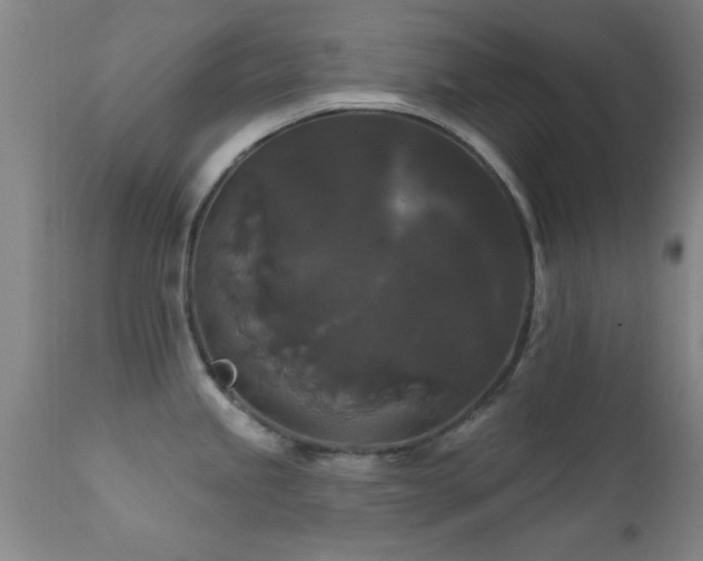 X0000112201245200908141426