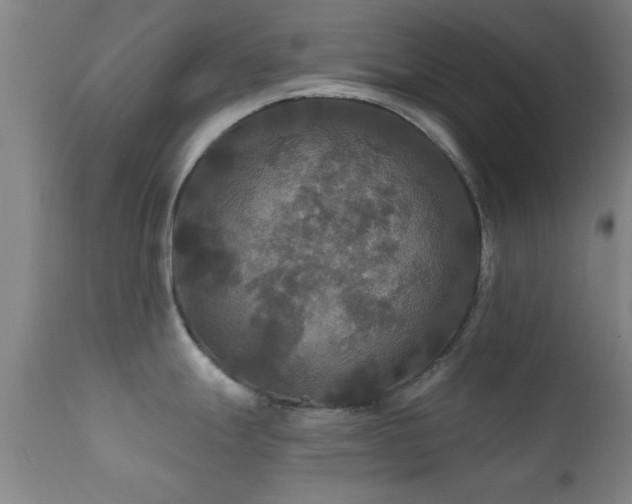 X0000112201247200908141426