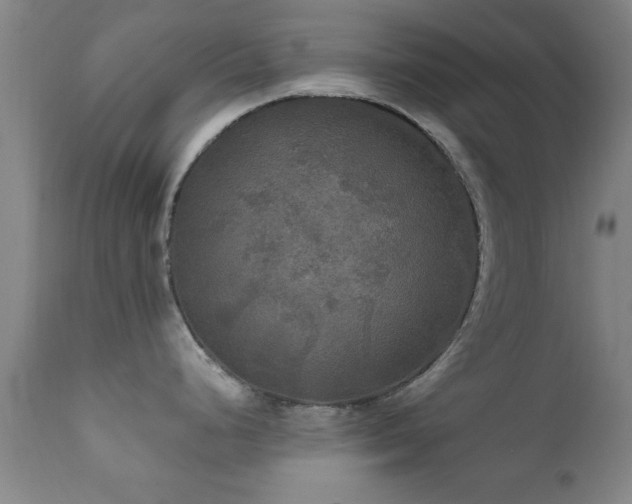 X0000112201248200908141426