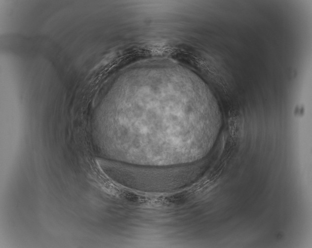 X0000112201249200908141425
