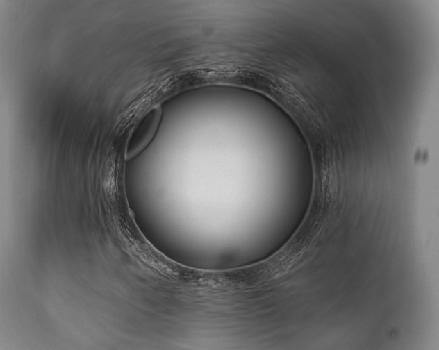 X0000112201250200908141425