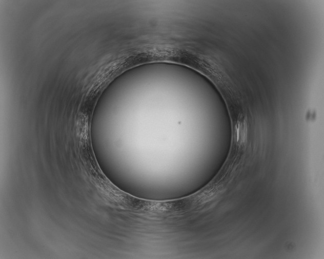 X0000112201251200908141425