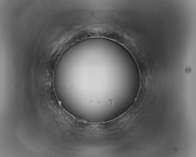 X0000112201253200908141425