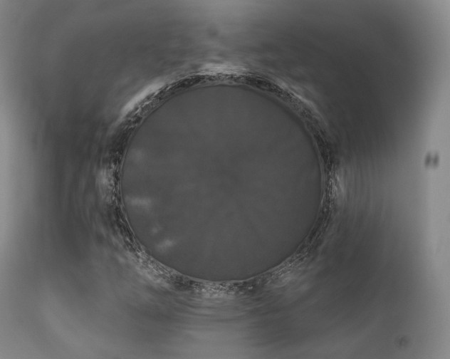 X0000112201254200908141425
