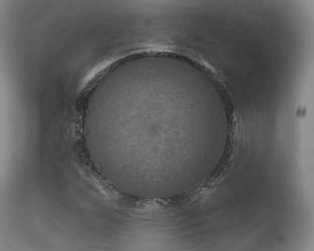 X0000112201255200908141425