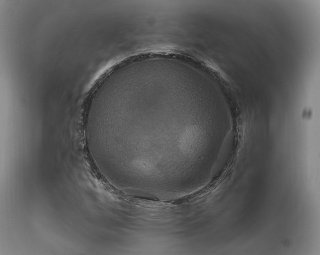 X0000112201256200908141425