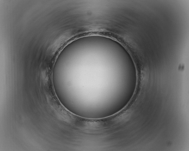 X0000112201257200908141425