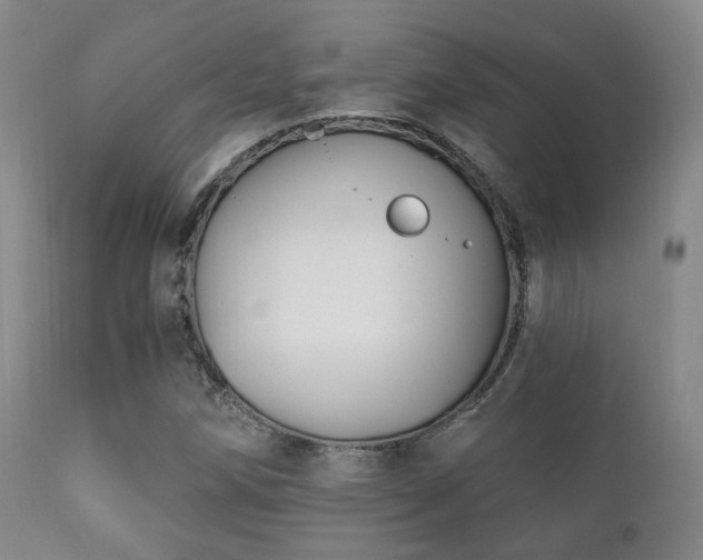 X0000112201258200908141425