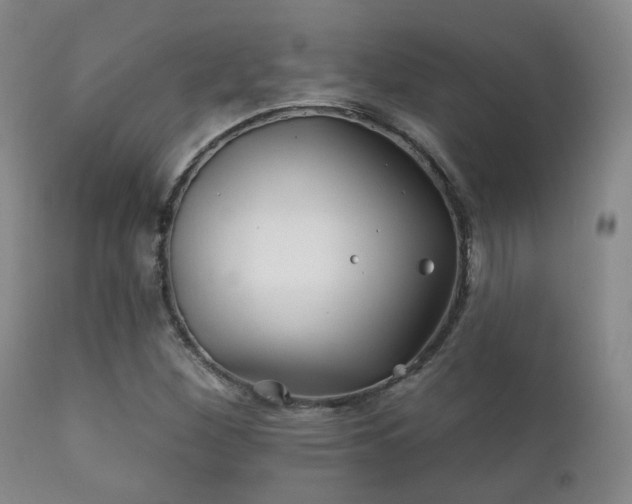 X0000112201260200908141425