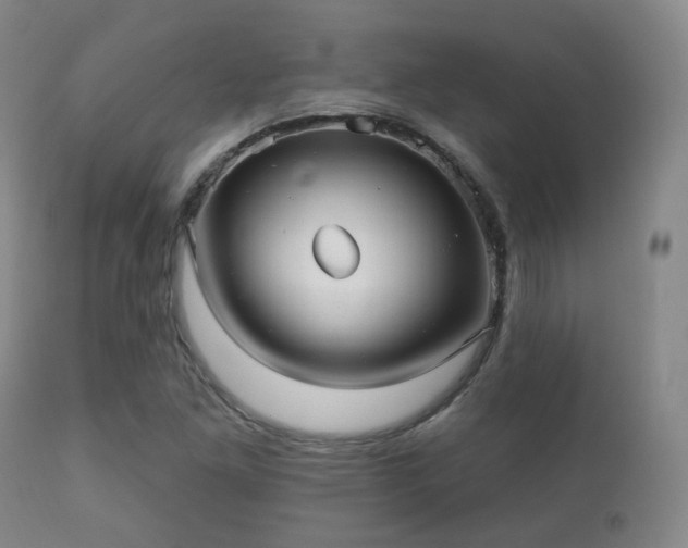 X0000112201261200908141425