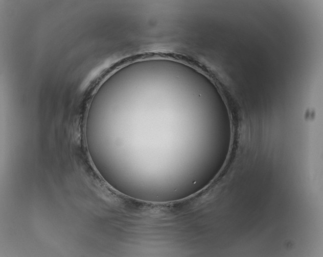 X0000112201262200908141425