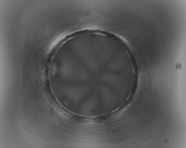X0000112201263200908141425
