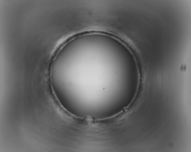 X0000112201264200908141425