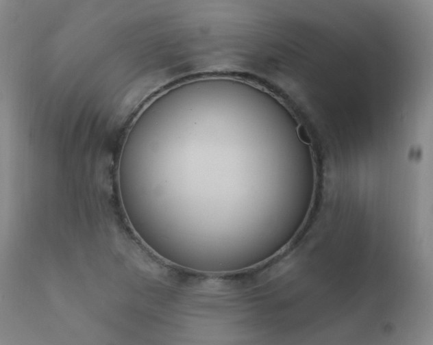 X0000112201265200908141425