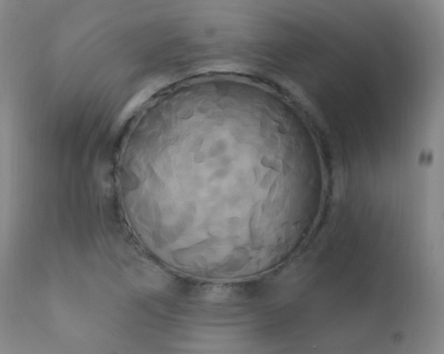 X0000112201266200908141425