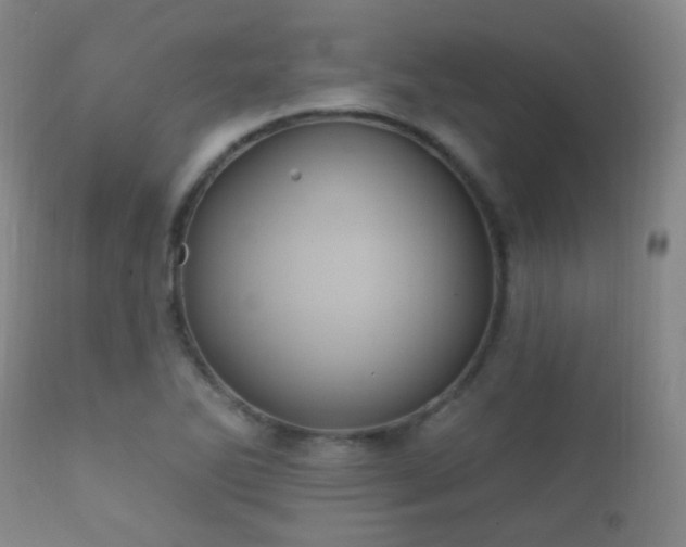 X0000112201270200908141425