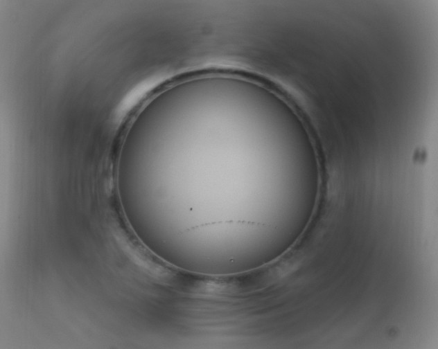 X0000112201271200908141425