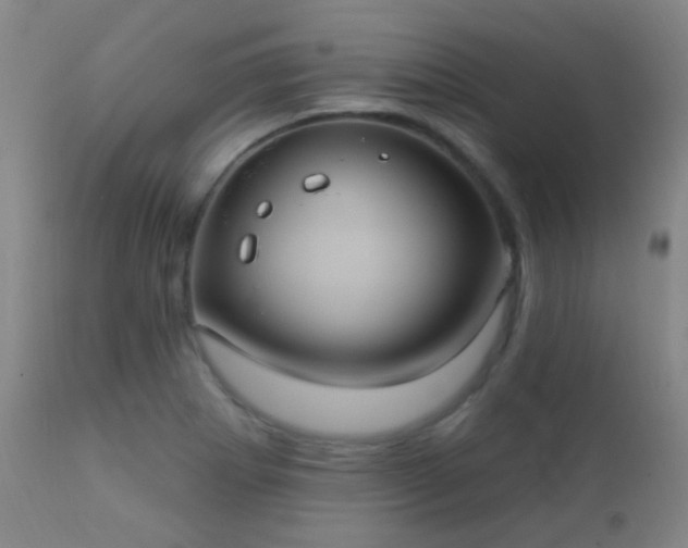 X0000112201273200908141425