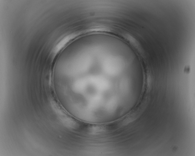 X0000112201274200908141425