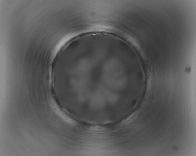X0000112201275200908141425