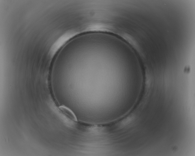 X0000112201277200908141425