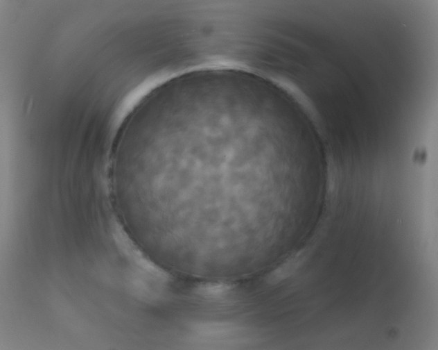 X0000112201278200908141425