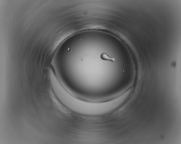 X0000112201281200908141425