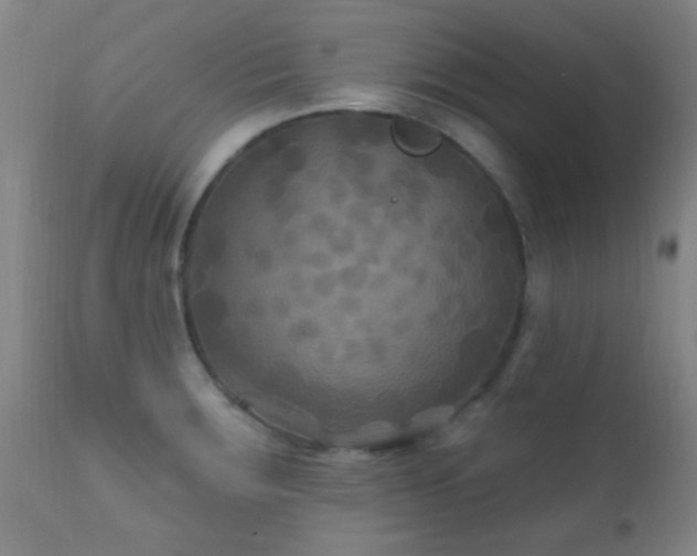 X0000112201283200908141425