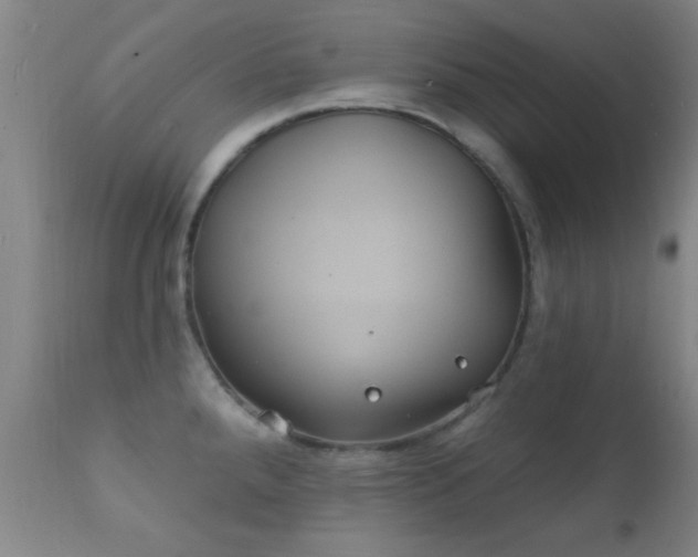 X0000112201288200908141425