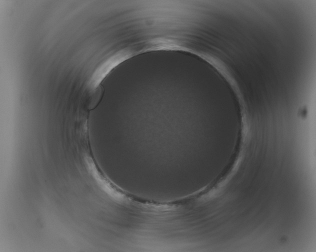 X0000112201289200908141425