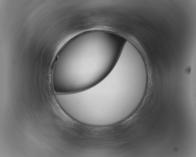 X0000112201292200908141425