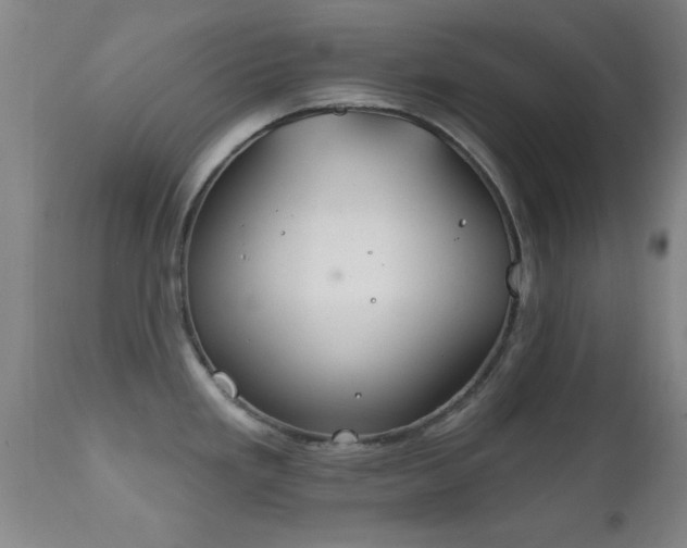 X0000112201293200908141425